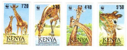 Click to view full-size image in new window.